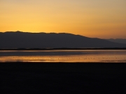 P1015694