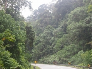 P1012520