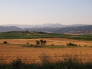 P6130747